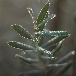 Meet your Posher, Tawnee